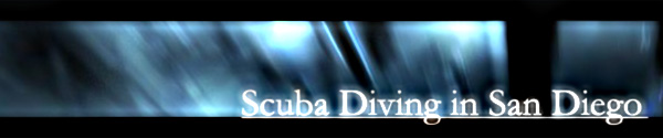 Scuba Diving in San Diego Logo